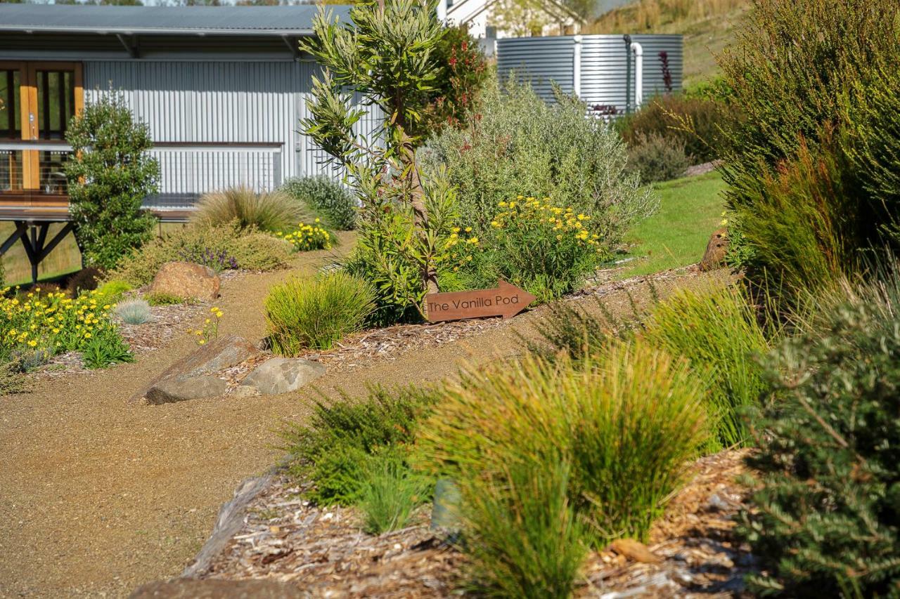 Hobart Hideaway Pods Bed & Breakfast Kingston Ngoại thất bức ảnh